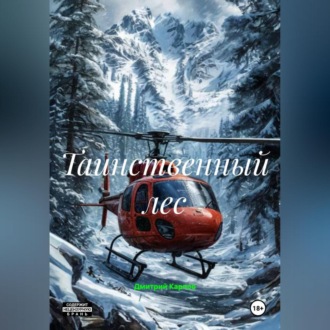 Обложка книги «Таинственный лес»