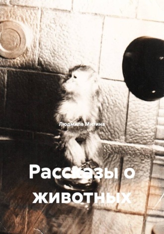 Обложка книги «Рассказы о животных»