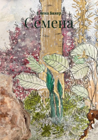 Обложка книги «Семена»
