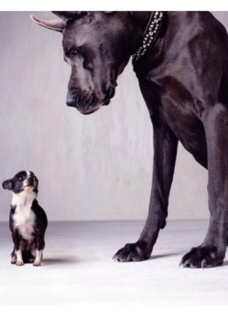 Атрус AtRus. Хлюпик