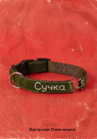 Обложка книги «Сучка»