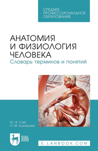 Н. М. Кузнецова. Анатомия и физиология человека. Словарь терминов и понятий. Учебное пособие для СПО. 7-е издание, стереотипное