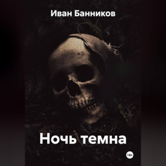 Обложка книги «Ночь темна»
