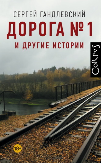 Обложка книги «Дорога №1 и другие истории»