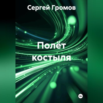 Обложка книги «Полёт костыля»