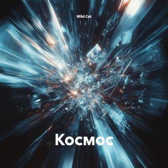 Обложка книги «Космос»