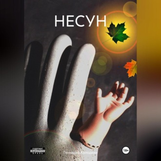 Обложка книги «НЕСУН»