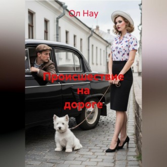 Обложка книги «Происшествие на дороге»