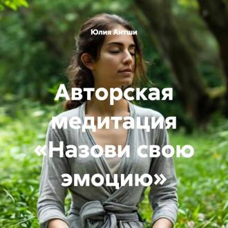 Обложка книги «Авторская медитация «Назови свою эмоцию»»