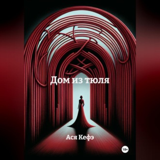 Обложка книги «Дом из тюля»