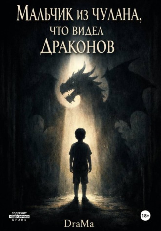 Обложка книги «Мальчик из чулана, что видел драконов»