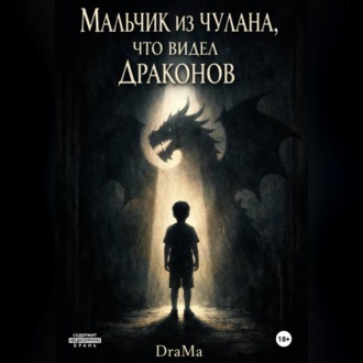 Обложка книги «Мальчик из чулана что видел драконов»