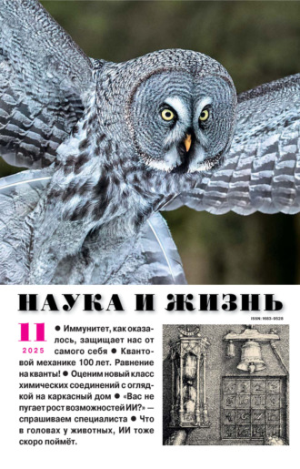 Обложка книги «Наука и жизнь №11/2025»