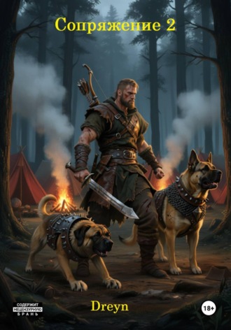 Dreyn Dreyn. Сопряжение 2