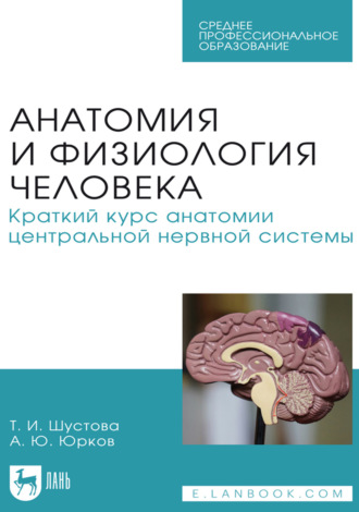 Анатомия и физиология человека. Краткий курс анатомии центральной нервной системы. Учебное пособие для СПО. 
