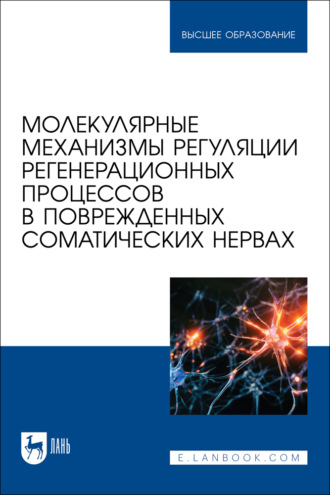 Елизавета Садовникова. Молекулярные механизмы регуляции регенерационных процессов в поврежденных соматических нервах