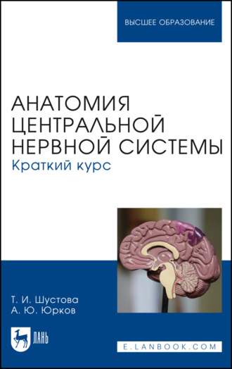 Анатомия центральной нервной системы. Краткий курс. Учебное пособие для вузов. А. Ю. Юрков