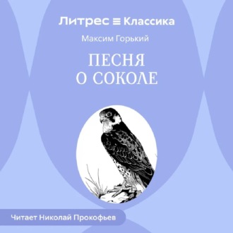 Обложка книги «Песня о Соколе»