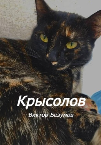 Обложка книги «Крысолов»