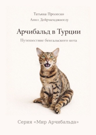 Обложка книги «Арчибальд в Турции. Путешествие бенгальского кота. Книга серии «Мир Арчибальда»»