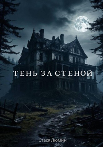 Обложка книги «Тень за стеной»