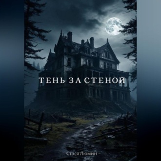 Обложка книги «Тень за стеной»