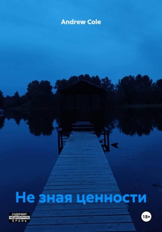 Обложка книги «Не зная ценности»