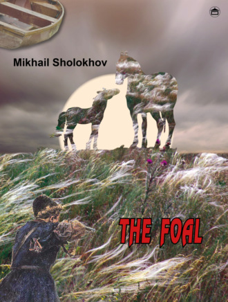 Обложка книги «THE FOAL»