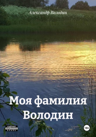 Обложка книги «Моя фамилия Володин»