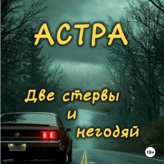 Обложка книги «Две стервы и негодяй»
