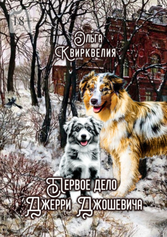 Обложка книги «Первое дело Джерри Джошевича»