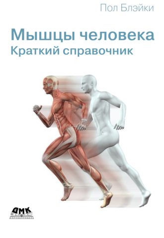 Обложка книги «Мышцы человека. Краткий справочник»