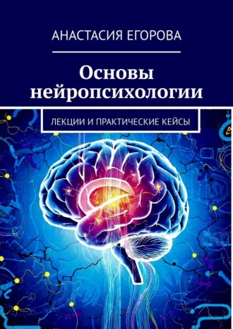 Обложка книги «Основы нейропсихологии. Лекции и практические кейсы»