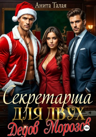 Обложка книги «Секретарша для двух Дедов Морозов»