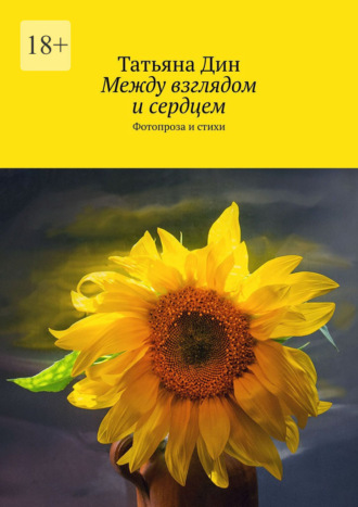 Обложка книги «Между взглядом и сердцем. Фотопроза и стихи»