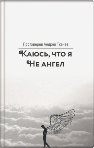 Обложка книги «Каюсь, что я не ангел»