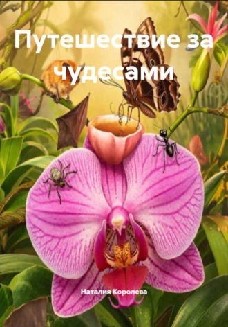 Обложка книги «Путешествие за чудесами»