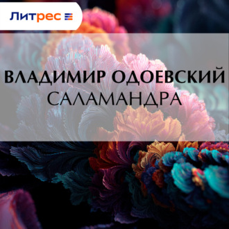 Обложка книги «Саламандра»