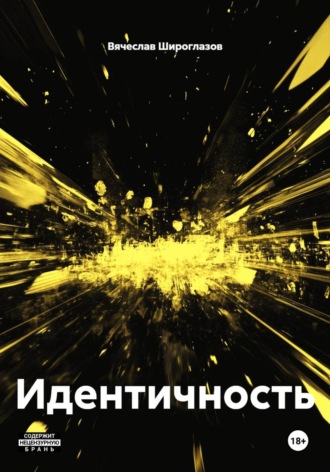 Обложка книги «Идентичность»