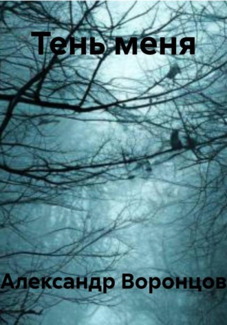 Обложка книги «Тень меня»
