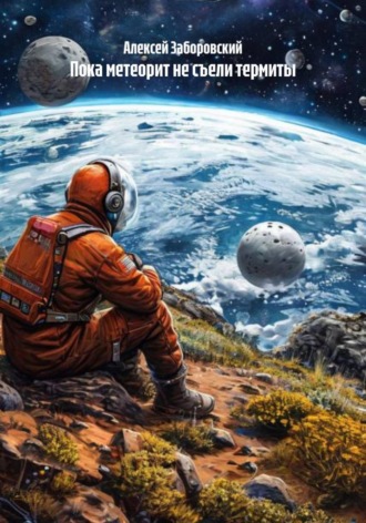 Обложка книги «Пока метеорит не съели термиты»