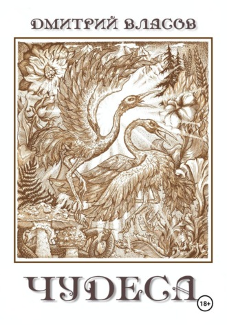 Обложка книги «Чудеса»