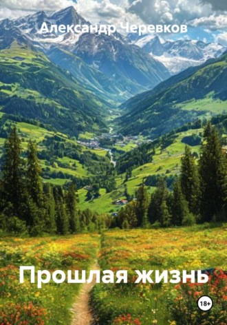 Обложка книги «Прошлая жизнь»