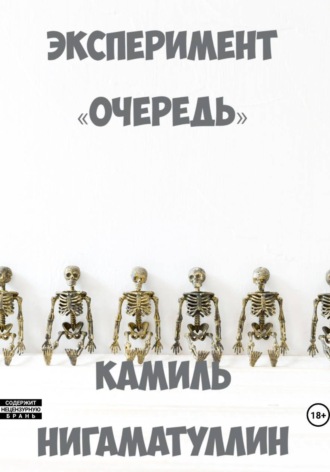 Обложка книги «Эксперимент «Очередь»»