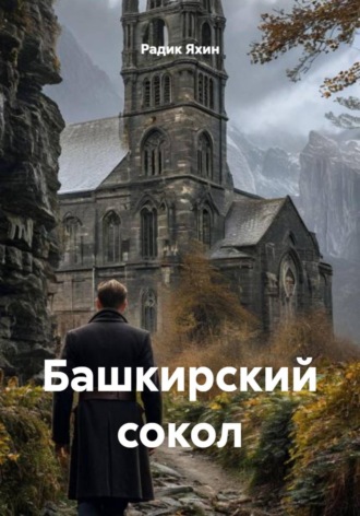 Обложка книги «Башкирский сокол»
