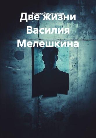 Обложка книги «Две жизни Василия Мелешкина»