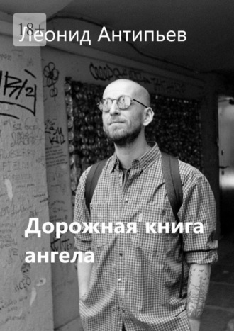 Обложка книги «Дорожная книга ангела»