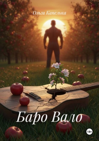 Обложка книги «Баро Вало»