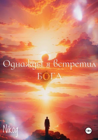 Обложка книги «Однажды я встретил бога»