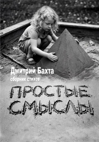 Обложка книги «Простые смыслы. Сборник стихов»